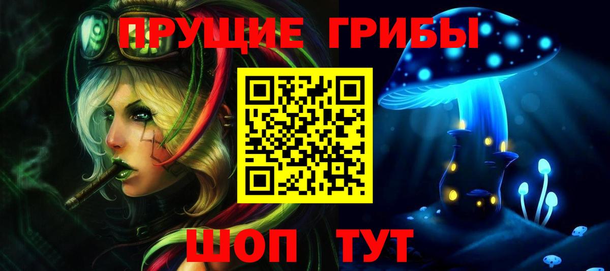 Каменск-Уральский  Псилоцибиновые грибы MAGIC MUSHROOMS  Галлюциногенные грибы Cubensis  наркота  Вход с VPN 